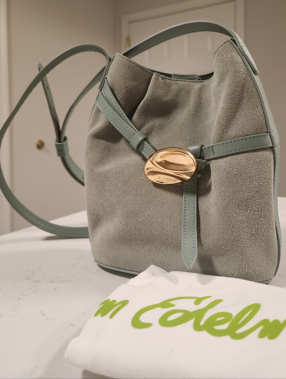 Sam Edelman Mint Green Leather Crossbody Bag